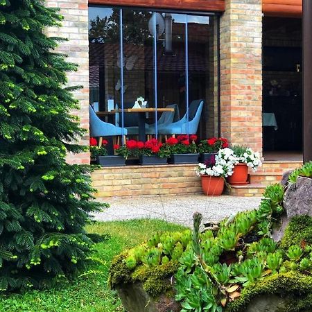 Villa Diva Budureasa 外观 照片