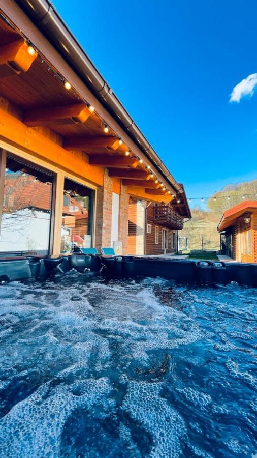 Villa Diva Budureasa 外观 照片