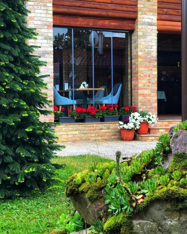 Villa Diva Budureasa 外观 照片