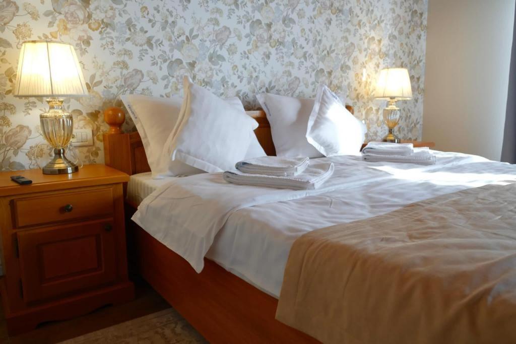 Villa Diva Budureasa 外观 照片
