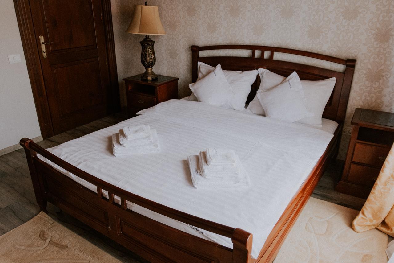 Villa Diva Budureasa 外观 照片